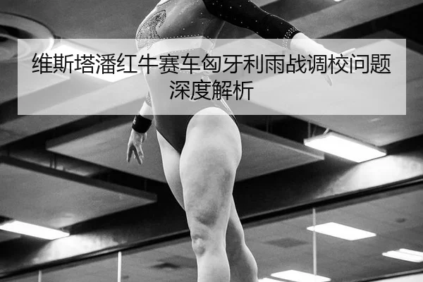 维斯塔潘红牛赛车匈牙利雨战调校问题深度解析