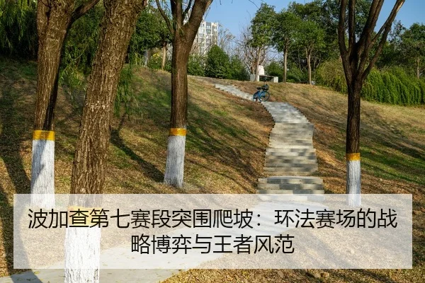 波加查第七赛段突围爬坡：环法赛场的战略博弈与王者风范